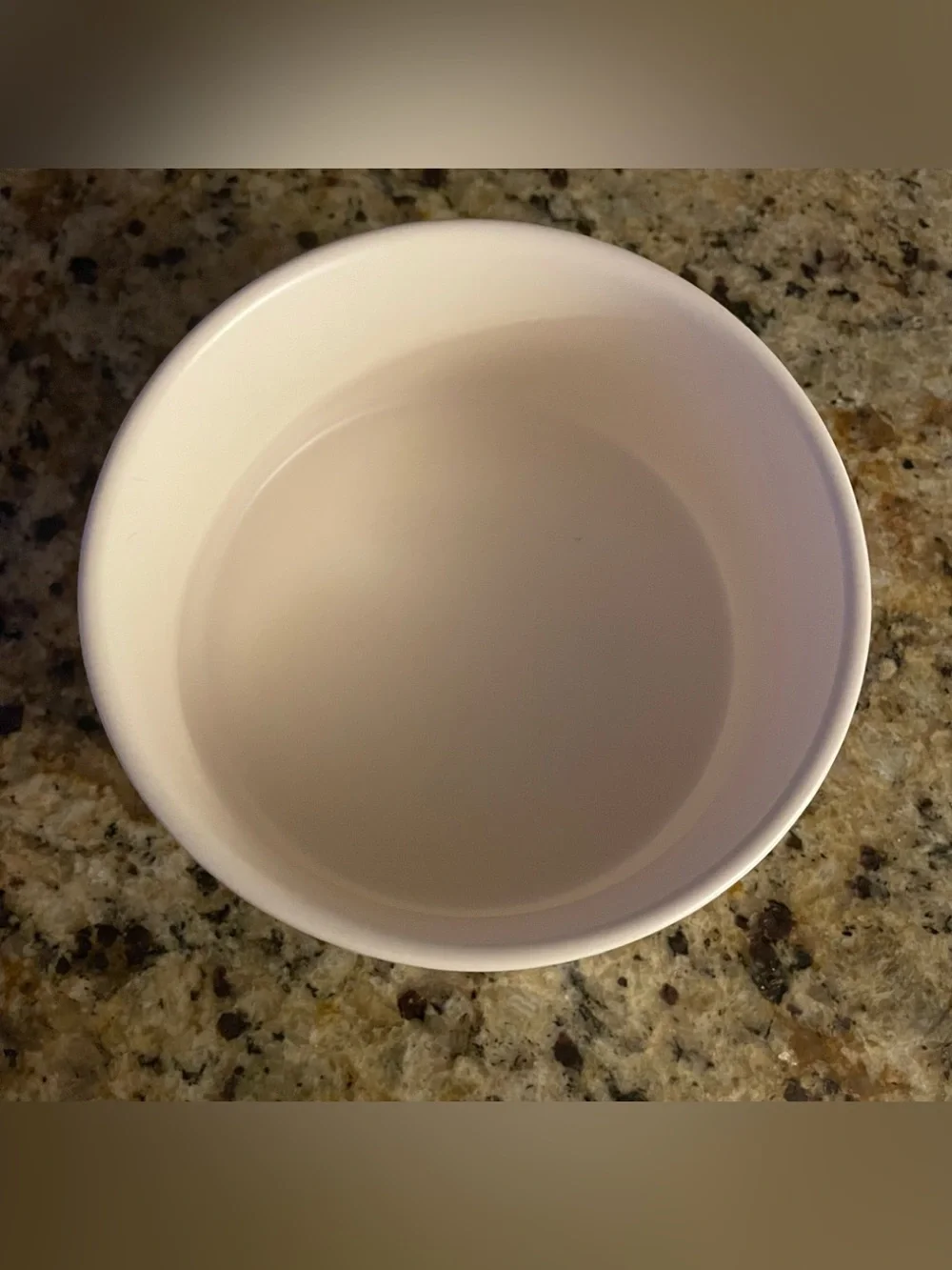 Rae Dunn “GOOD DOGGY” ceramic bowl